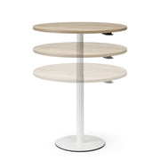 RM-Line Flex GT rond - Gasveer tafel - Ø 80cm - R&M Kantoor- en Designmeubilair